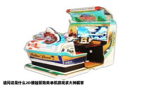 请问这是什么2D横轴冒险类单机游戏求大神解答