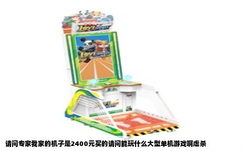 请问专家我家的机子是2400元买的请问能玩什么大型单机游戏啊虐杀