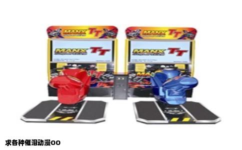 求各种催泪动漫OO