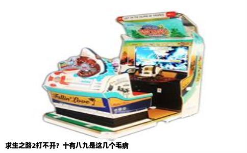 求生之路2打不开？十有八九是这几个毛病