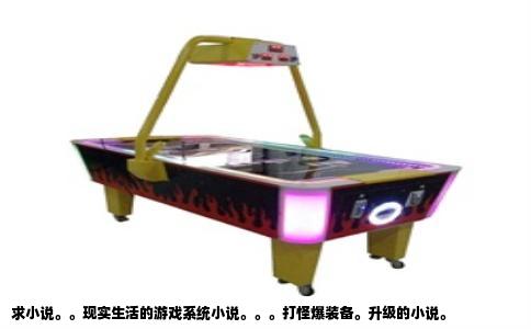 求小说。。现实生活的游戏系统小说。。。打怪爆装备。升级的小说。