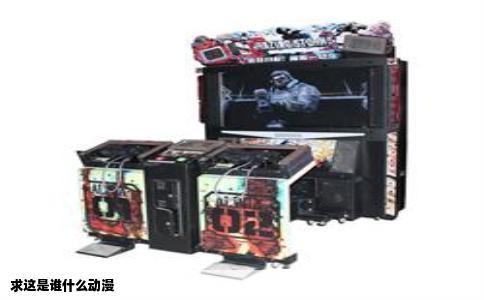 求这是谁什么动漫