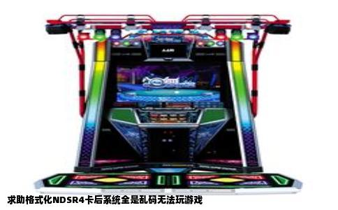 求助格式化NDSR4卡后系统全是乱码无法玩游戏