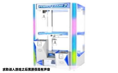 求助进入游戏之后黑屏但是有声音