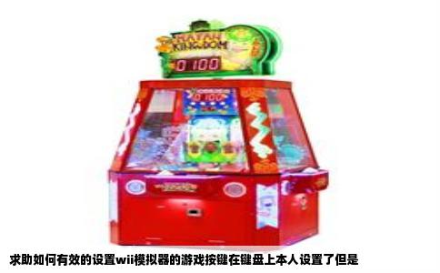 求助如何有效的设置wii模拟器的游戏按键在键盘上本人设置了但是