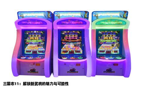 三国志11：解锁新武将的魅力与可能性