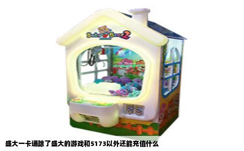 盛大一卡通除了盛大的游戏和5173以外还能充值什么