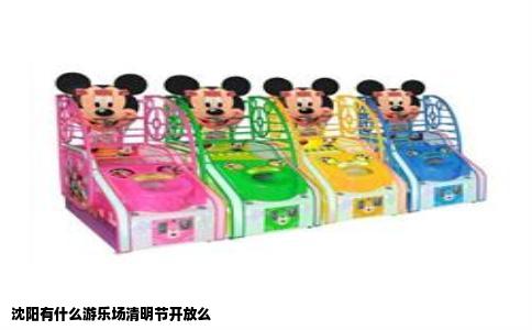 沈阳有什么游乐场清明节开放么