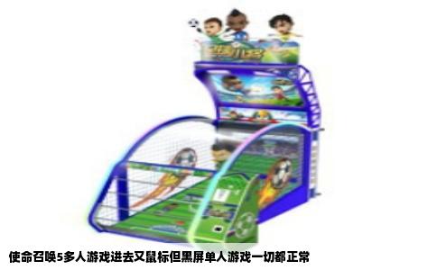 使命召唤5多人游戏进去又鼠标但黑屏单人游戏一切都正常
