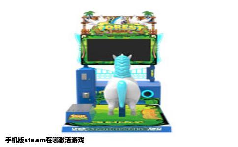 手机版steam在哪激活游戏