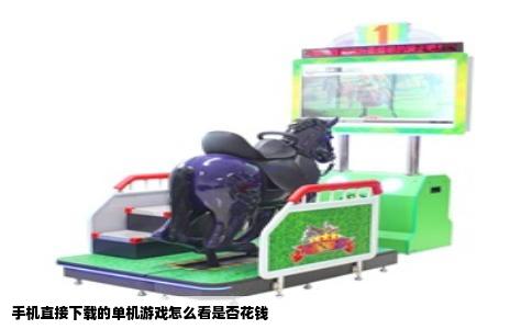 手机直接下载的单机游戏怎么看是否花钱