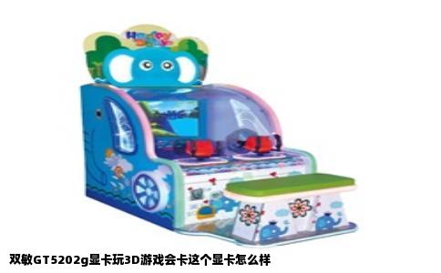 双敏GT5202g显卡玩3D游戏会卡这个显卡怎么样