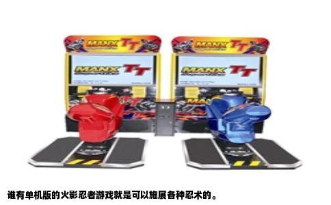 谁有单机版的火影忍者游戏就是可以施展各种忍术的。