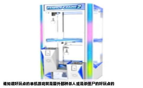 谁知道好玩点的单机游戏就是国外那种杀人或是杀僵尸的好玩点的
