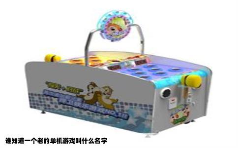 谁知道一个老的单机游戏叫什么名字