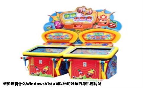 谁知道有什么WindowsVista可以玩的好玩的单机游戏吗
