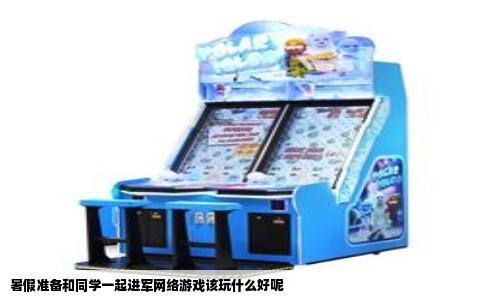 暑假准备和同学一起进军网络游戏该玩什么好呢