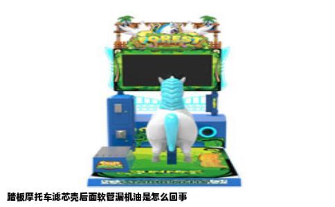 踏板摩托车滤芯壳后面软管漏机油是怎么回事