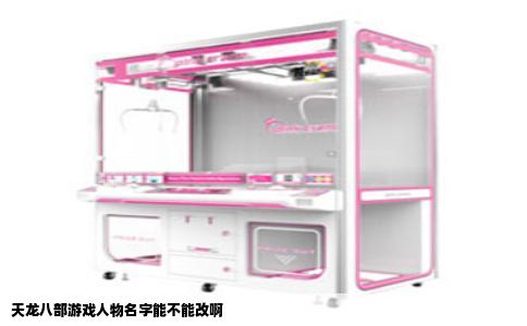 天龙八部游戏人物名字能不能改啊