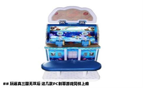 ## 玩遍真三国无双后 这几款PC割草游戏同样上瘾