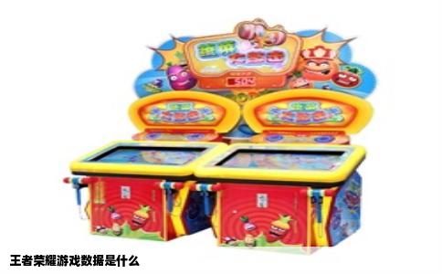 王者荣耀游戏数据是什么