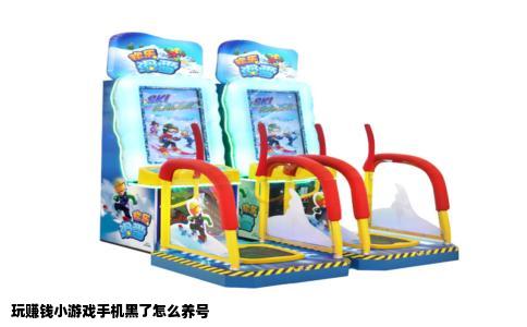 玩赚钱小游戏手机黑了怎么养号