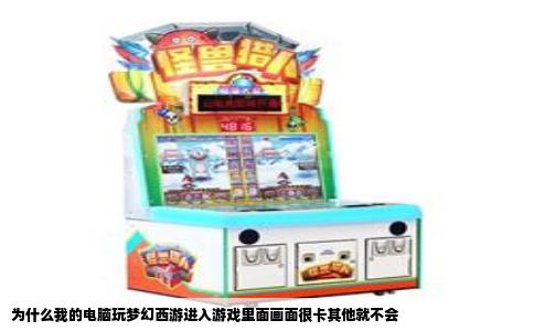 为什么我的电脑玩梦幻西游进入游戏里面画面很卡其他就不会