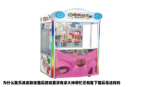 为什么我乐派皮肤挂载后游戏里没有求大神帮忙还有我下载后是这样的