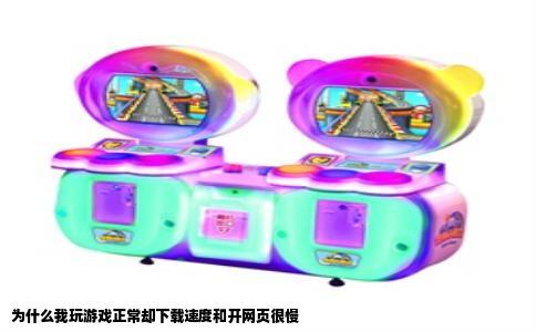 为什么我玩游戏正常却下载速度和开网页很慢