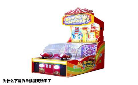 为什么下载的单机游戏玩不了