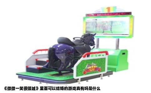 《微微一笑很倾城》里面可以结婚的游戏真有吗是什么