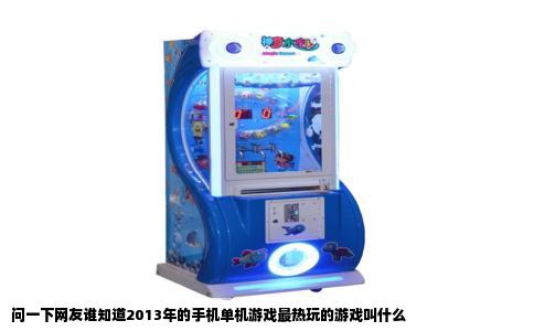 问一下网友谁知道2013年的手机单机游戏最热玩的游戏叫什么