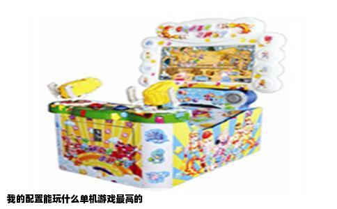 我的配置能玩什么单机游戏最高的
