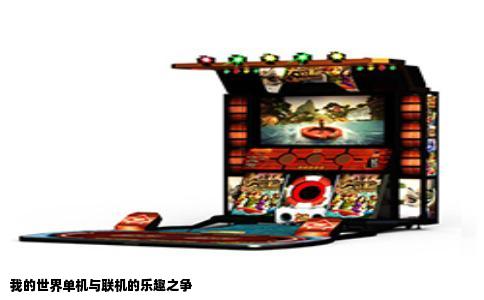 我的世界单机与联机的乐趣之争