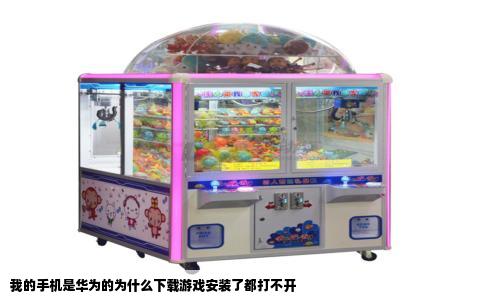 我的手机是华为的为什么下载游戏安装了都打不开