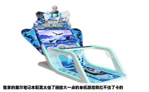 我家的戴尔笔记本配置太低了稍微大一点的单机游戏就扛不住了卡的