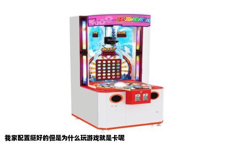 我家配置挺好的但是为什么玩游戏就是卡呢
