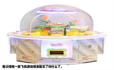 我记得有一款飞机游戏但是我忘了叫什么了。