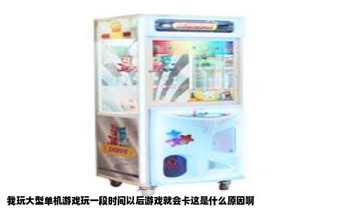 我玩大型单机游戏玩一段时间以后游戏就会卡这是什么原因啊