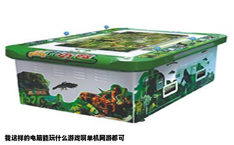 我这样的电脑能玩什么游戏啊单机网游都可