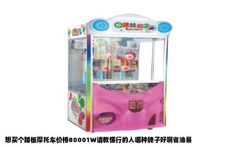 想买个踏板摩托车价格80001W请教懂行的人哪种牌子好啊省油易