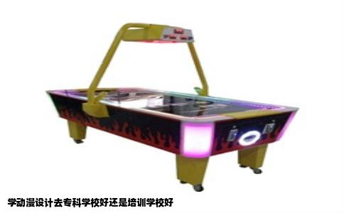 学动漫设计去专科学校好还是培训学校好