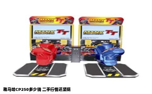雅马哈CP250多少钱 二手行情还坚挺