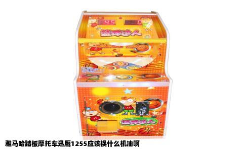 雅马哈踏板摩托车迅鹰1255应该换什么机油啊