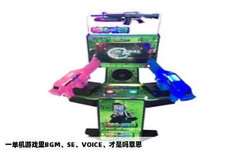 一单机游戏里BGM、SE、VOICE、才是吗意思