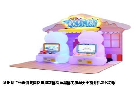 又出现了玩着游戏突然电脑花屏然后黑屏关机半天不能开机怎么办啊