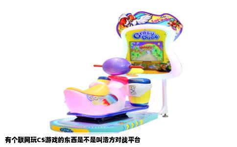有个联网玩CS游戏的东西是不是叫浩方对战平台
