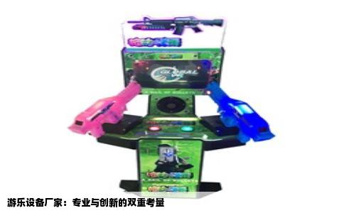 游乐设备厂家：专业与创新的双重考量