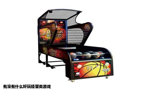 有没有什么好玩经营类游戏