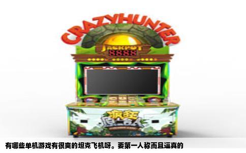 有哪些单机游戏有很爽的坦克飞机呀。要第一人称而且逼真的